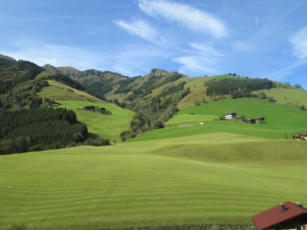 Obermuehle Daire Rauris Oda fotoğraf