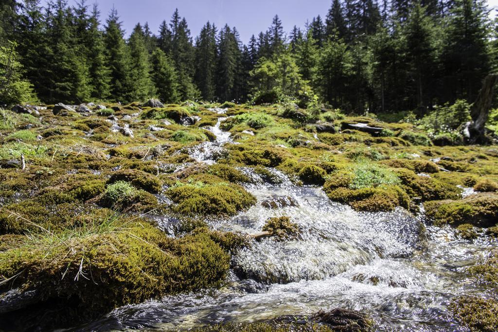 Obermuehle Daire Rauris Dış mekan fotoğraf